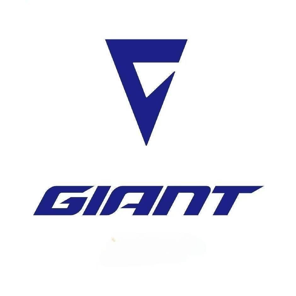 捷安特玉环店老周