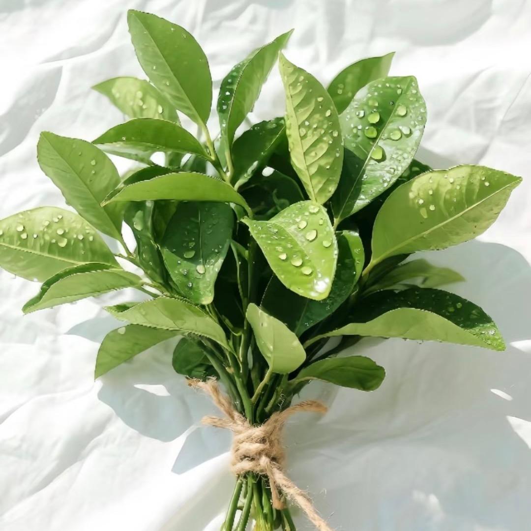 佑崽妈妈好物推荐