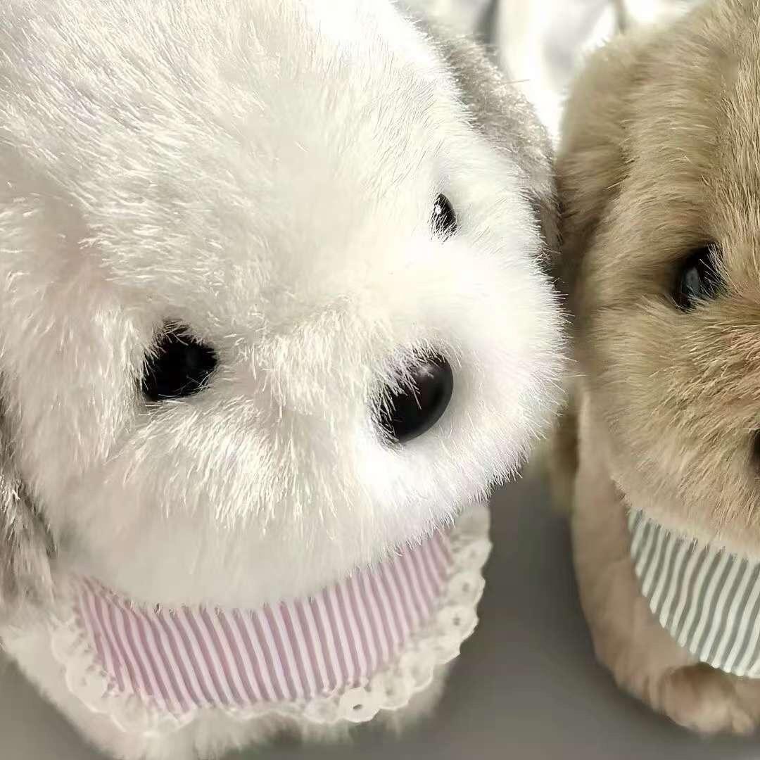 BB小饼