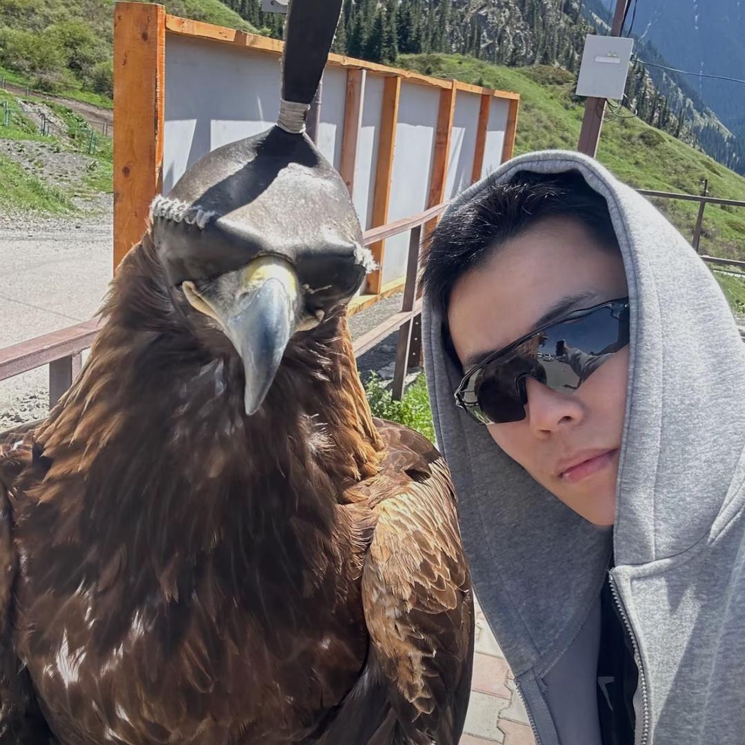 睡个好觉