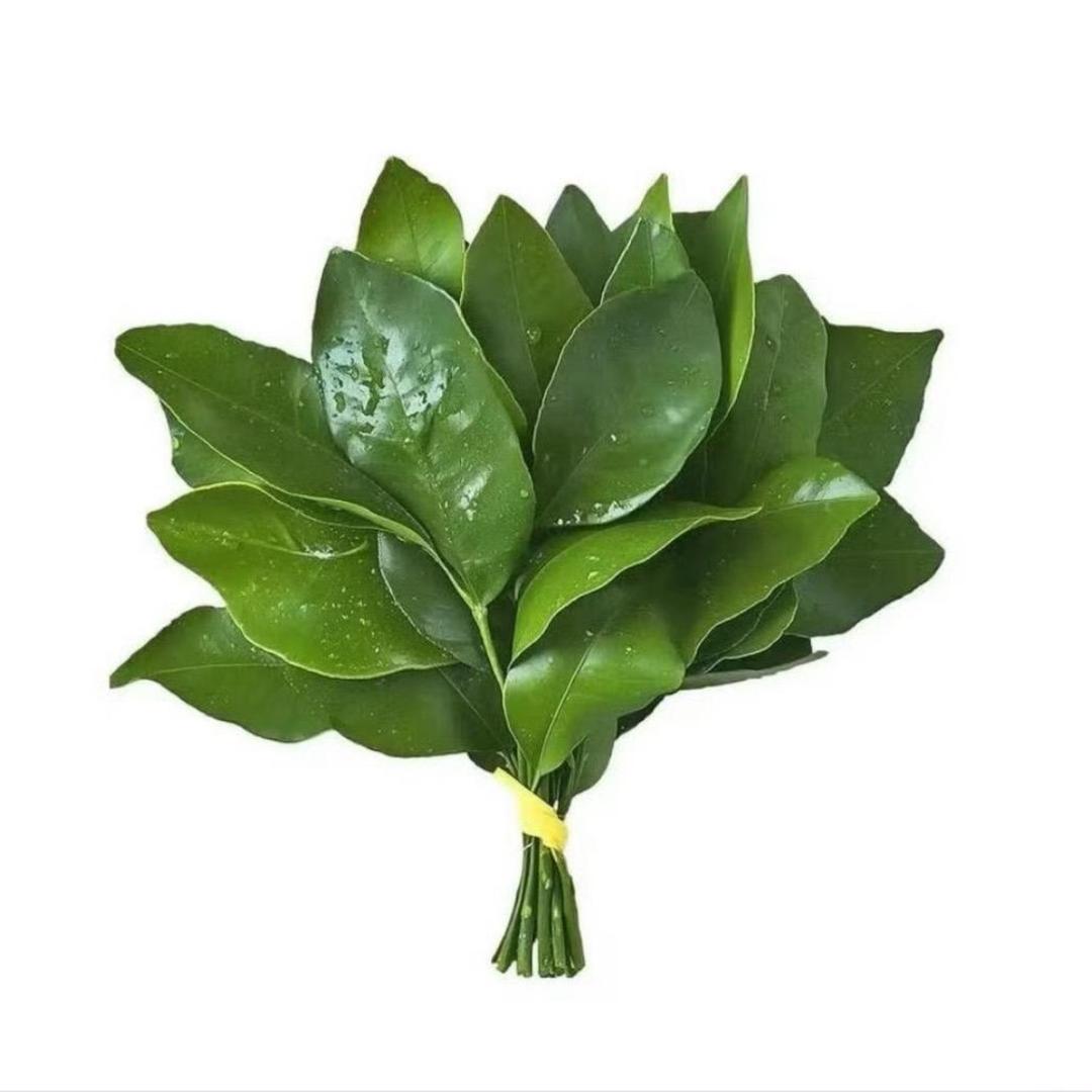刘一鸣.