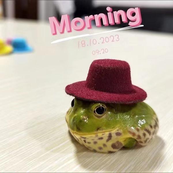 蛙蛙吃呱呱