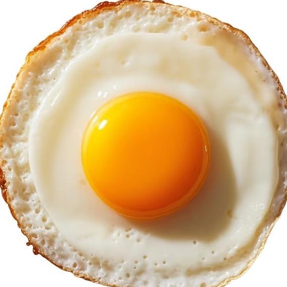 一颗卤蛋🥚