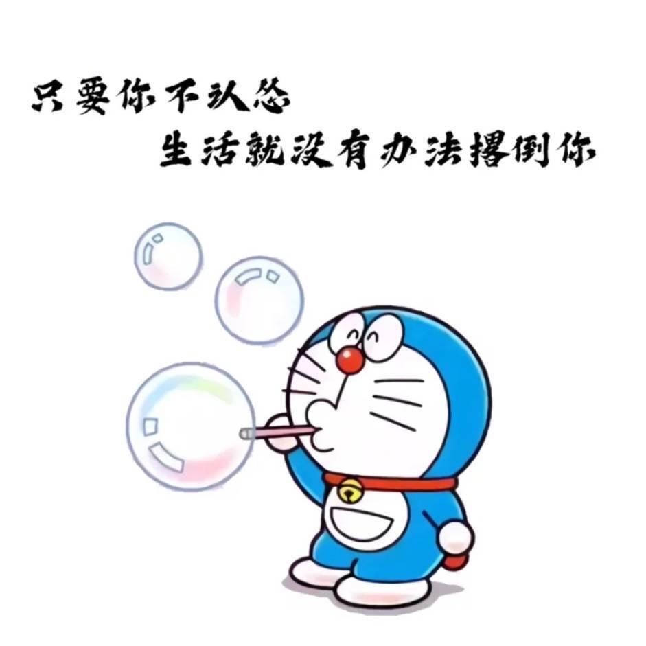 谢小白-