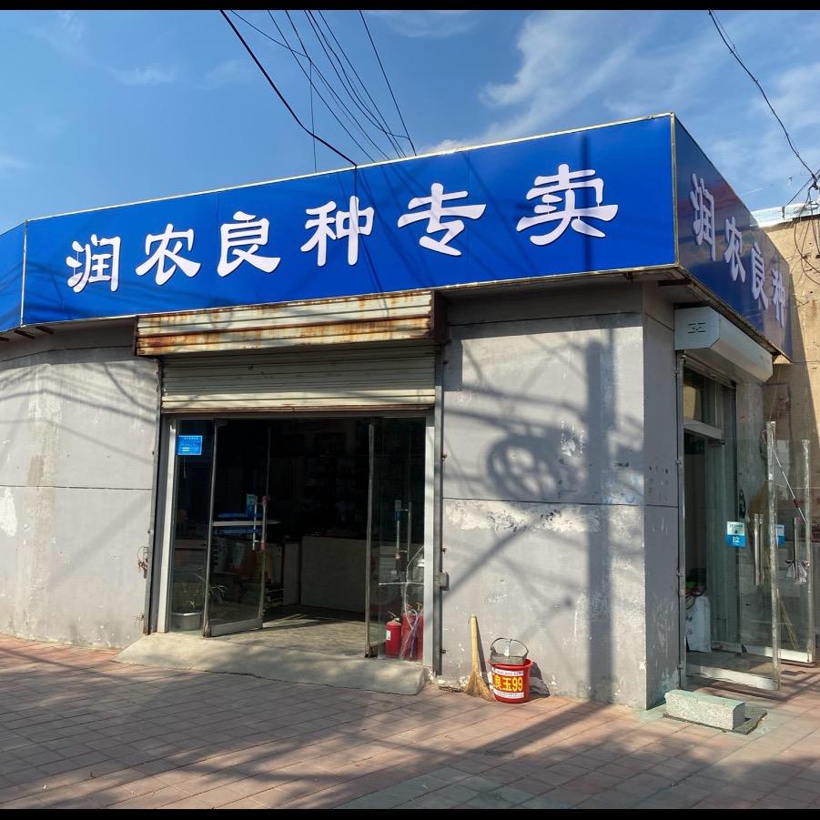 良玉炮🌽泗水润农良种