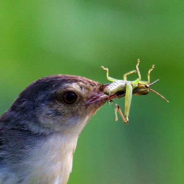 🐓⁰⁴.₁₅陈℘࿐