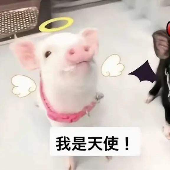 大妞🧚🏻‍♀️