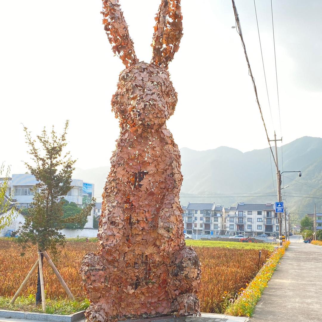 来自农村3286