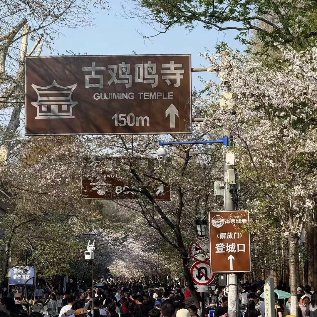 ⸂南京房东直租