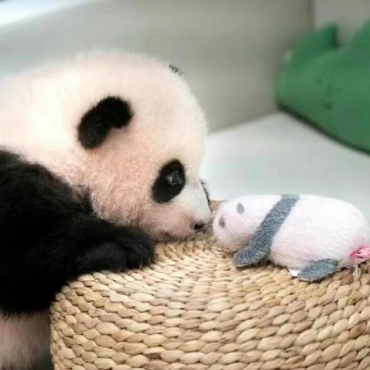 晓晓‘’
