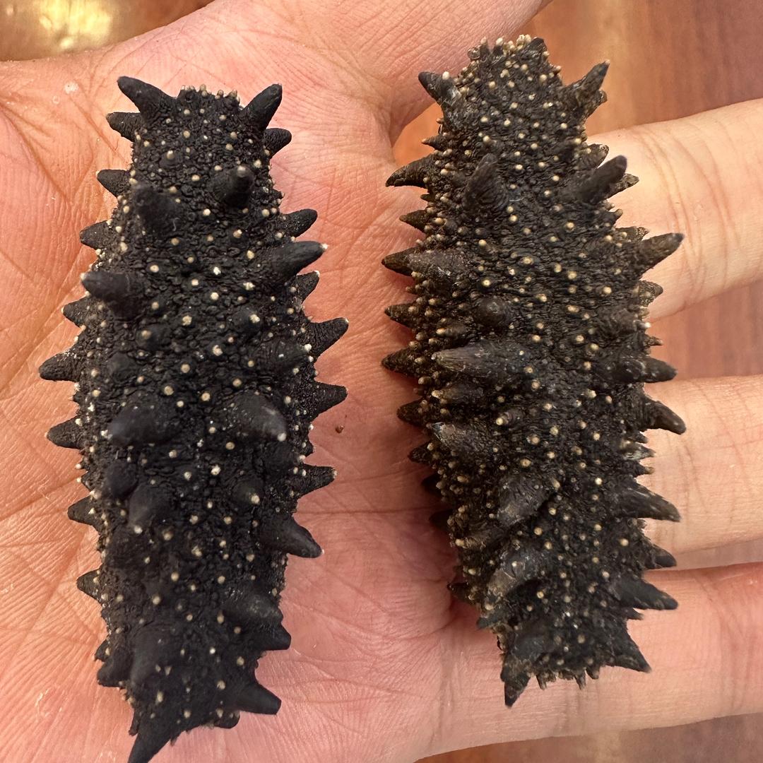 罗斯码头