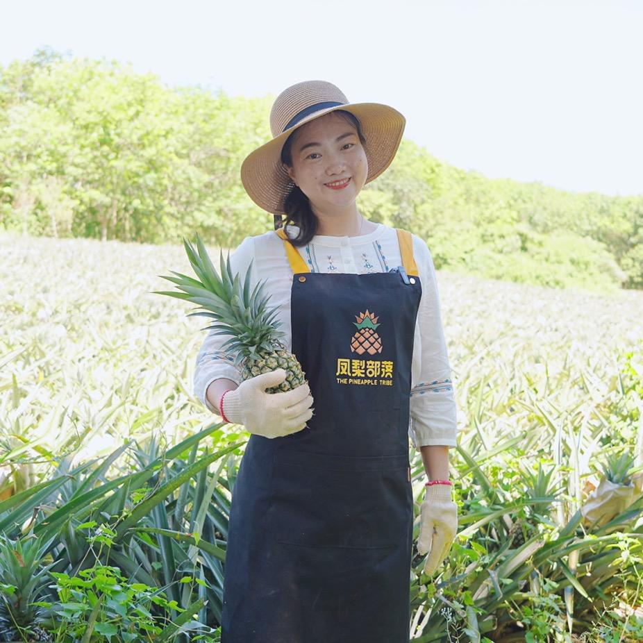 澄迈姑娘的凤梨部落