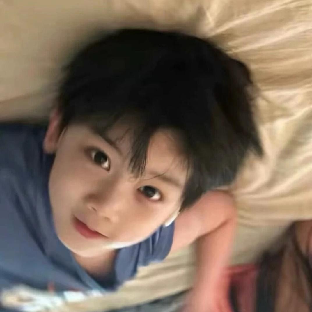 想纹半甲但怕挨打