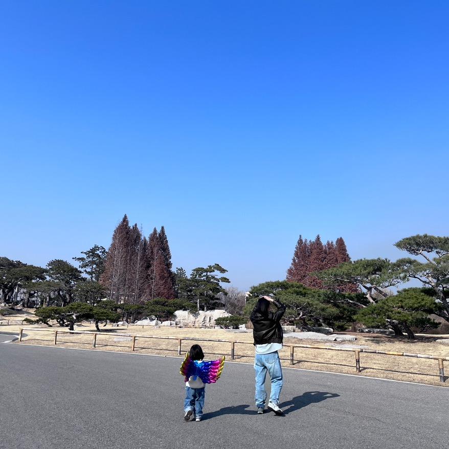 团团的团