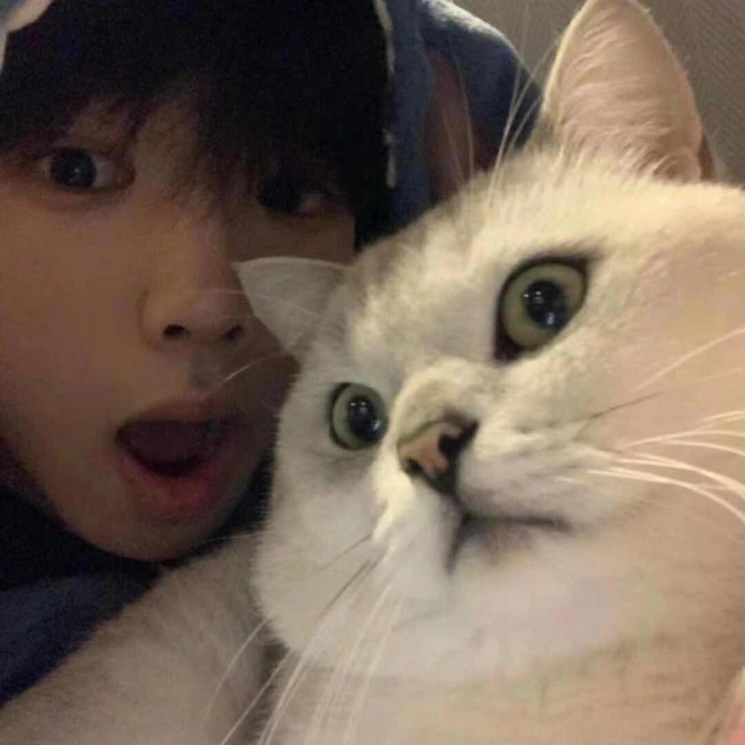 在逃