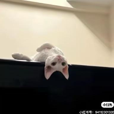 不知名小美