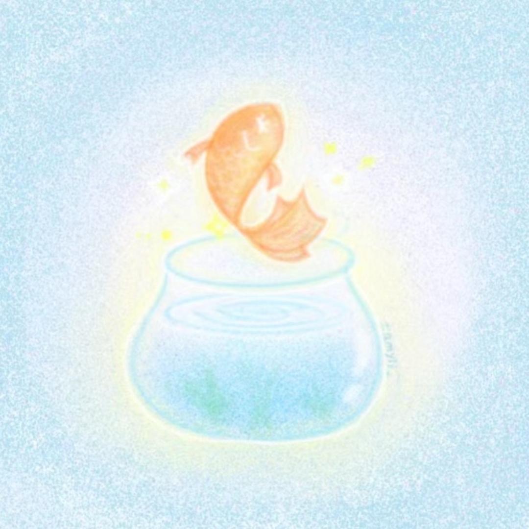 小鱼不吃鱼🐟