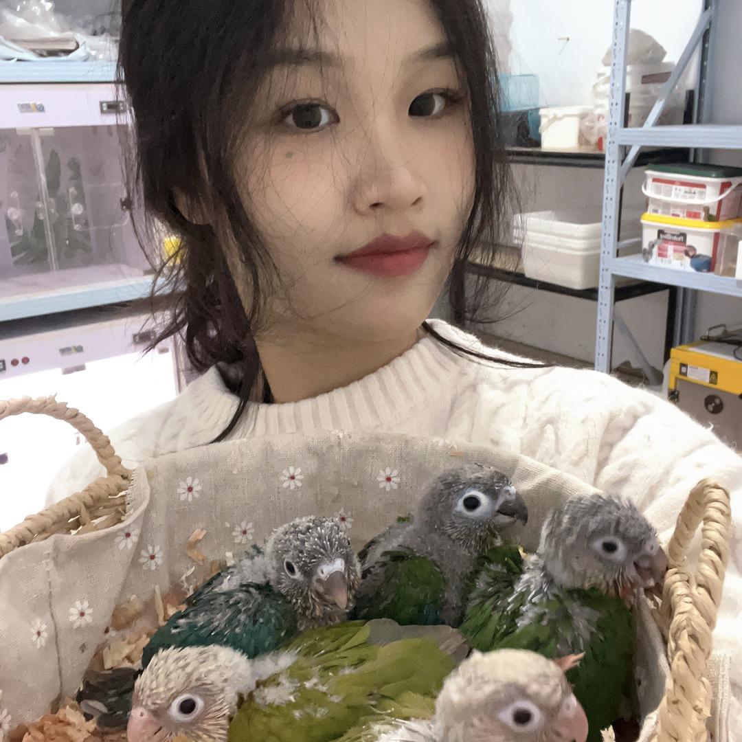 小鹦屋