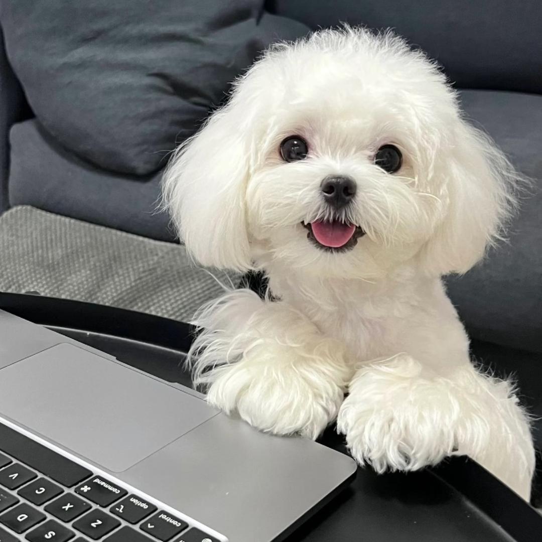 初晨🪞硬装中～