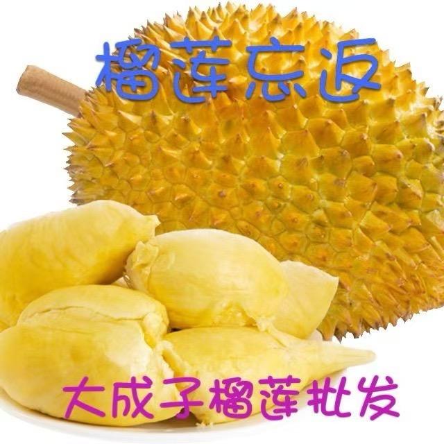 高碑店市诚盛源果业有限公司