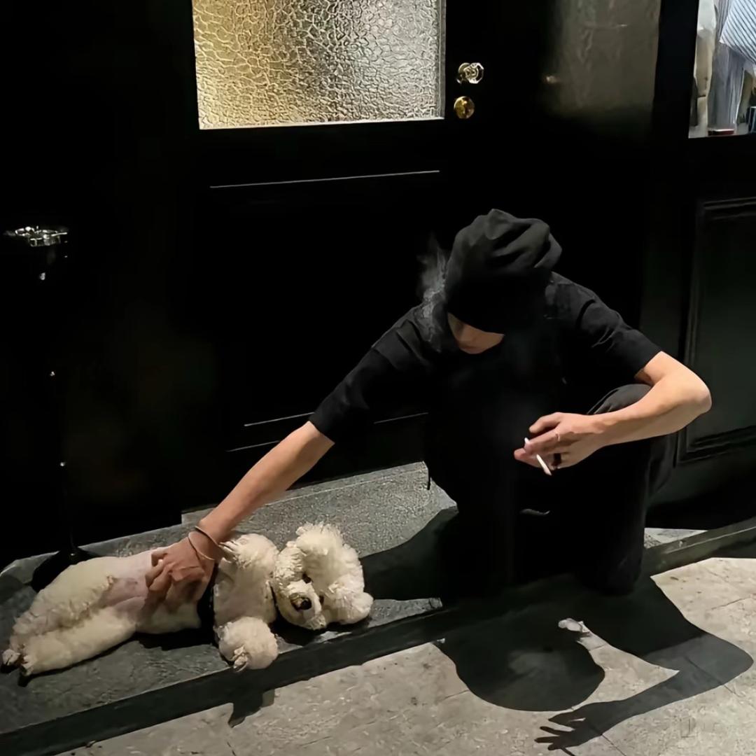 我不看皇片