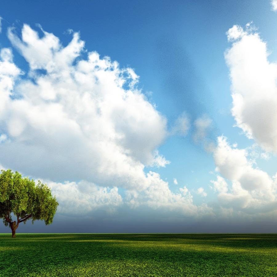 武汉市江夏区彦仓巧百货商行001直播号