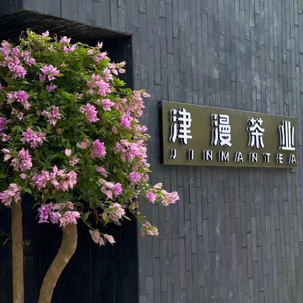津漫助理盈盈