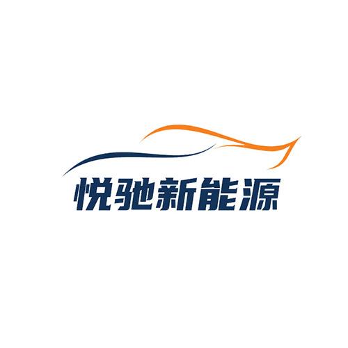新泰悦驰新能源汽车维修