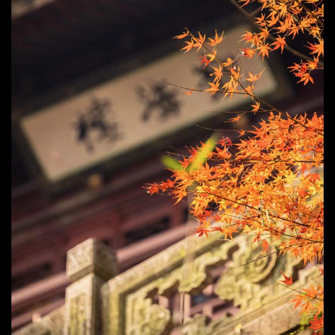 言正老师