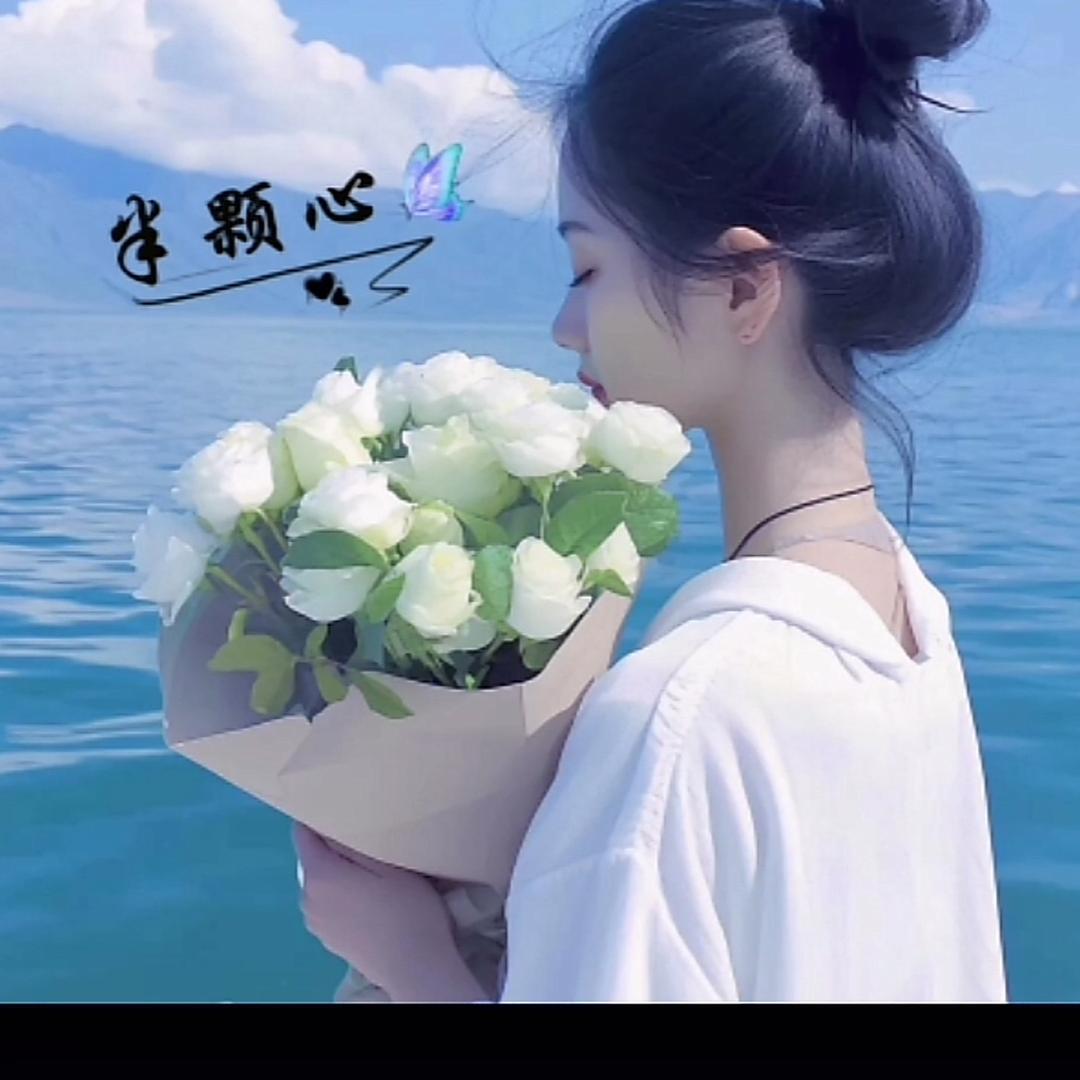 琴