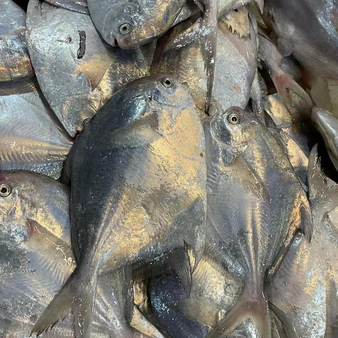 舟山伟民海鲜店小丽舟山海鲜