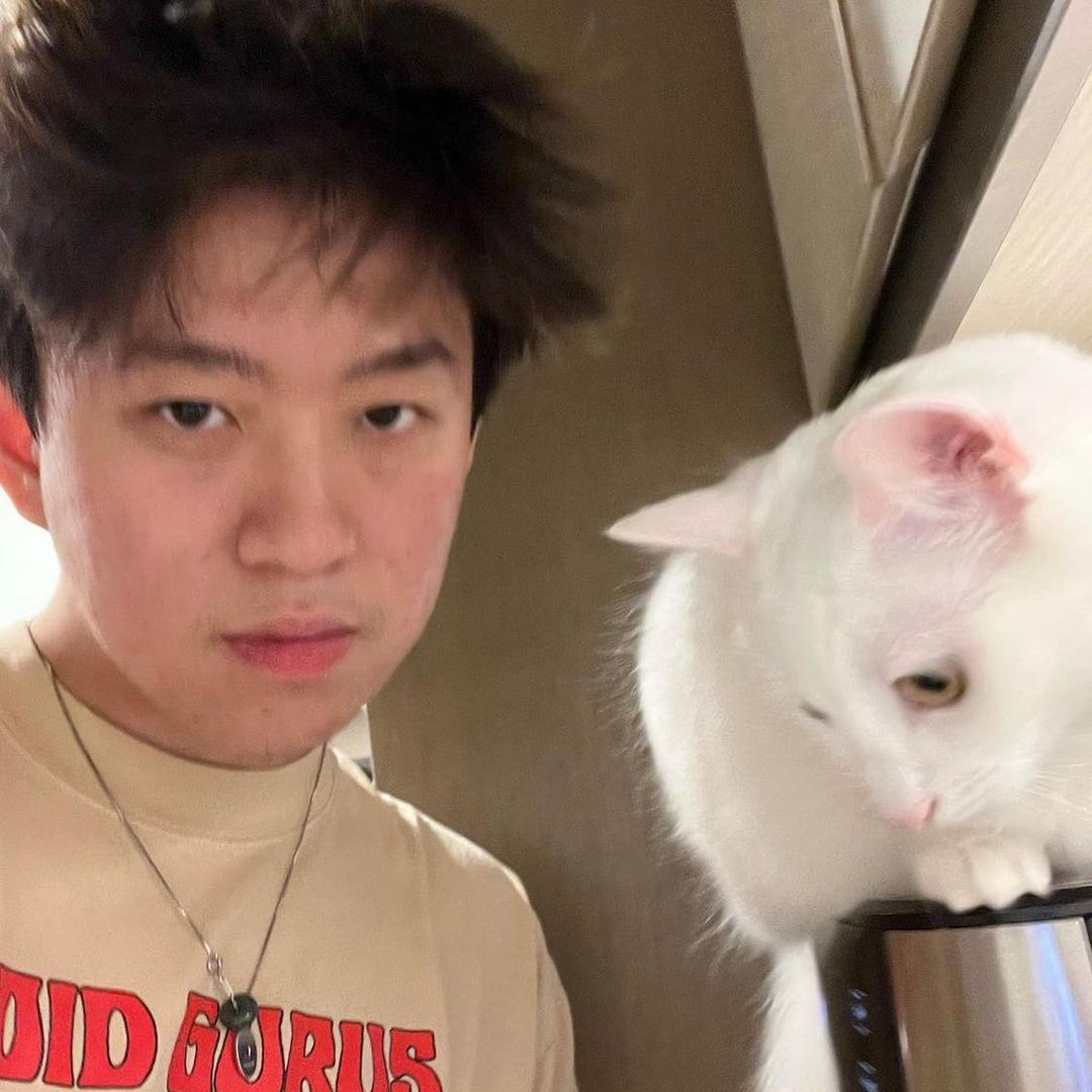 文崔