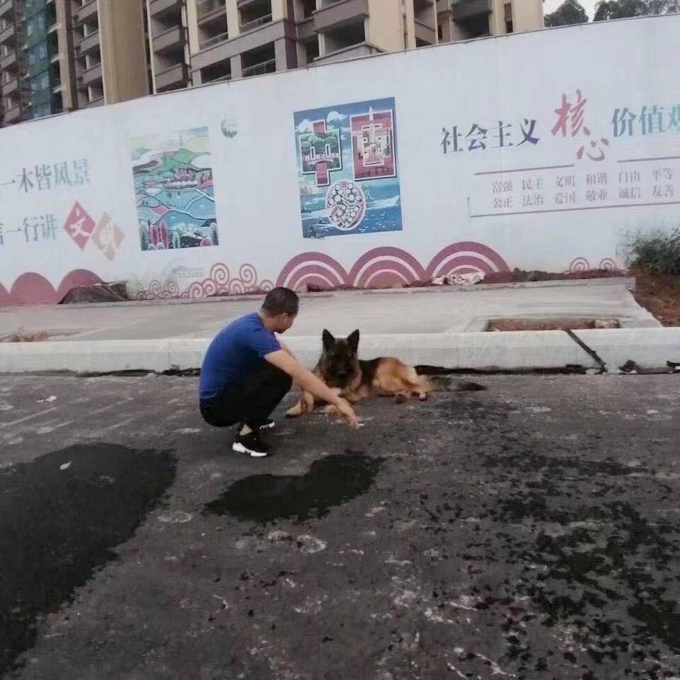 俗人一个