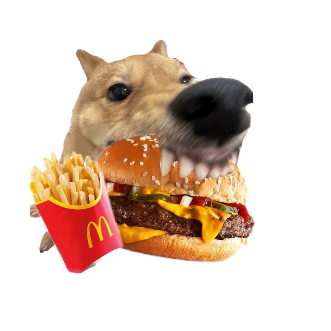 哆咪