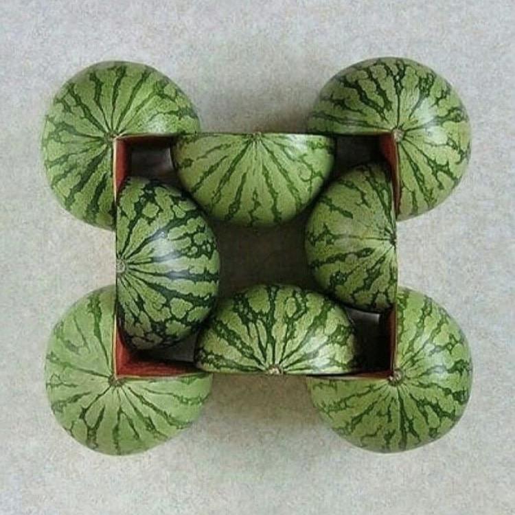 来吃炸裂瓜