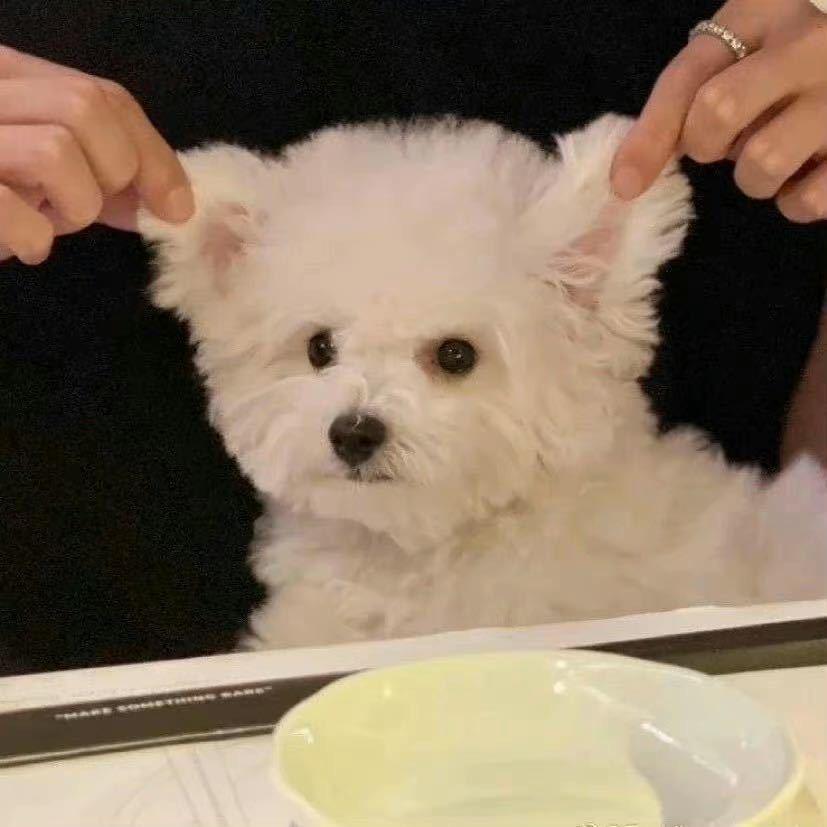 今晚约会吧.