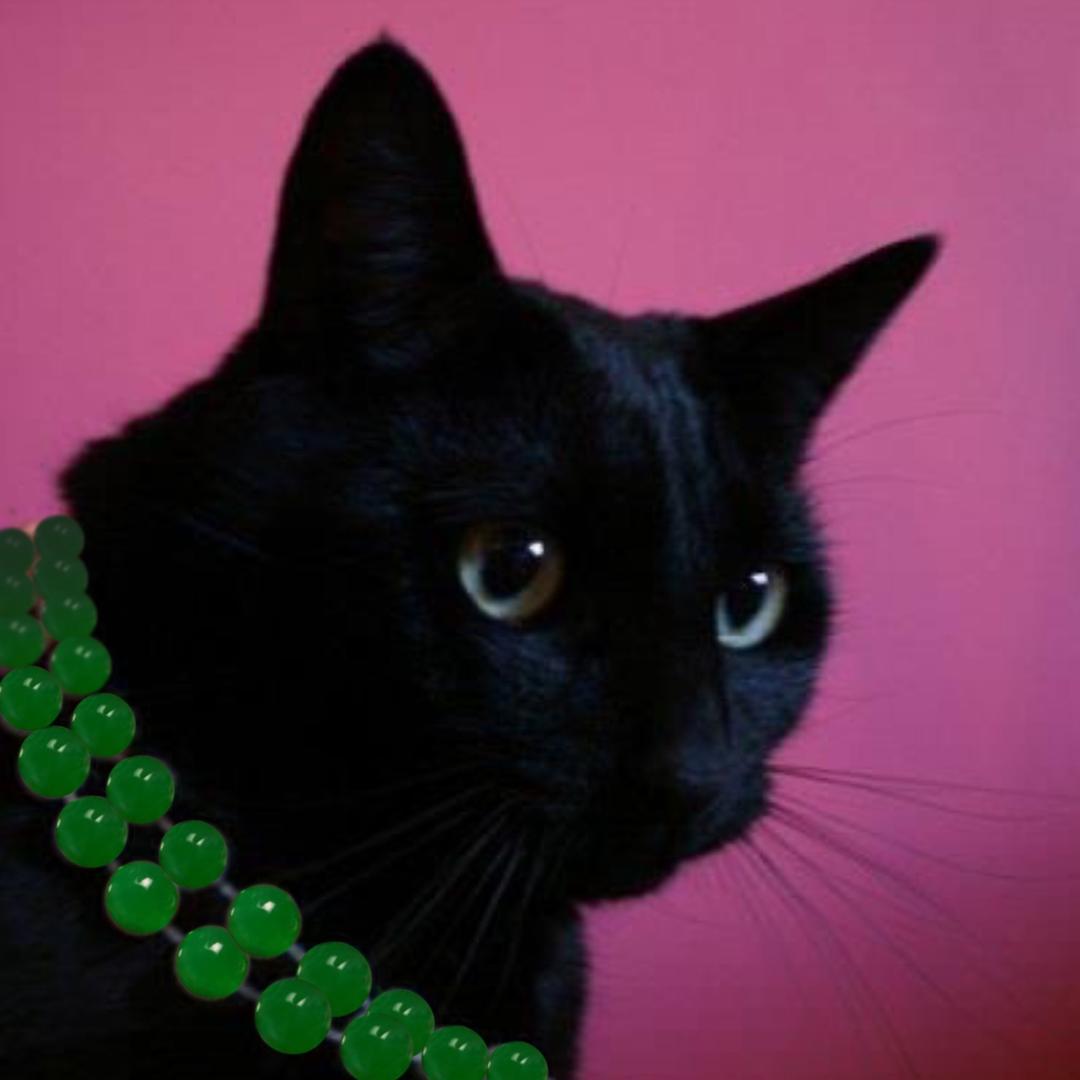 猫师傅珠宝铺子