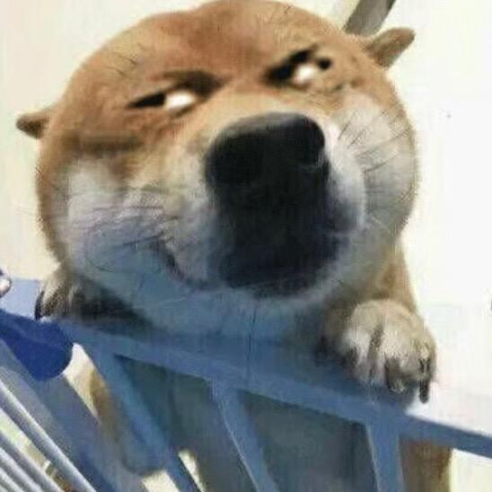 爱是含笑饮砒霜