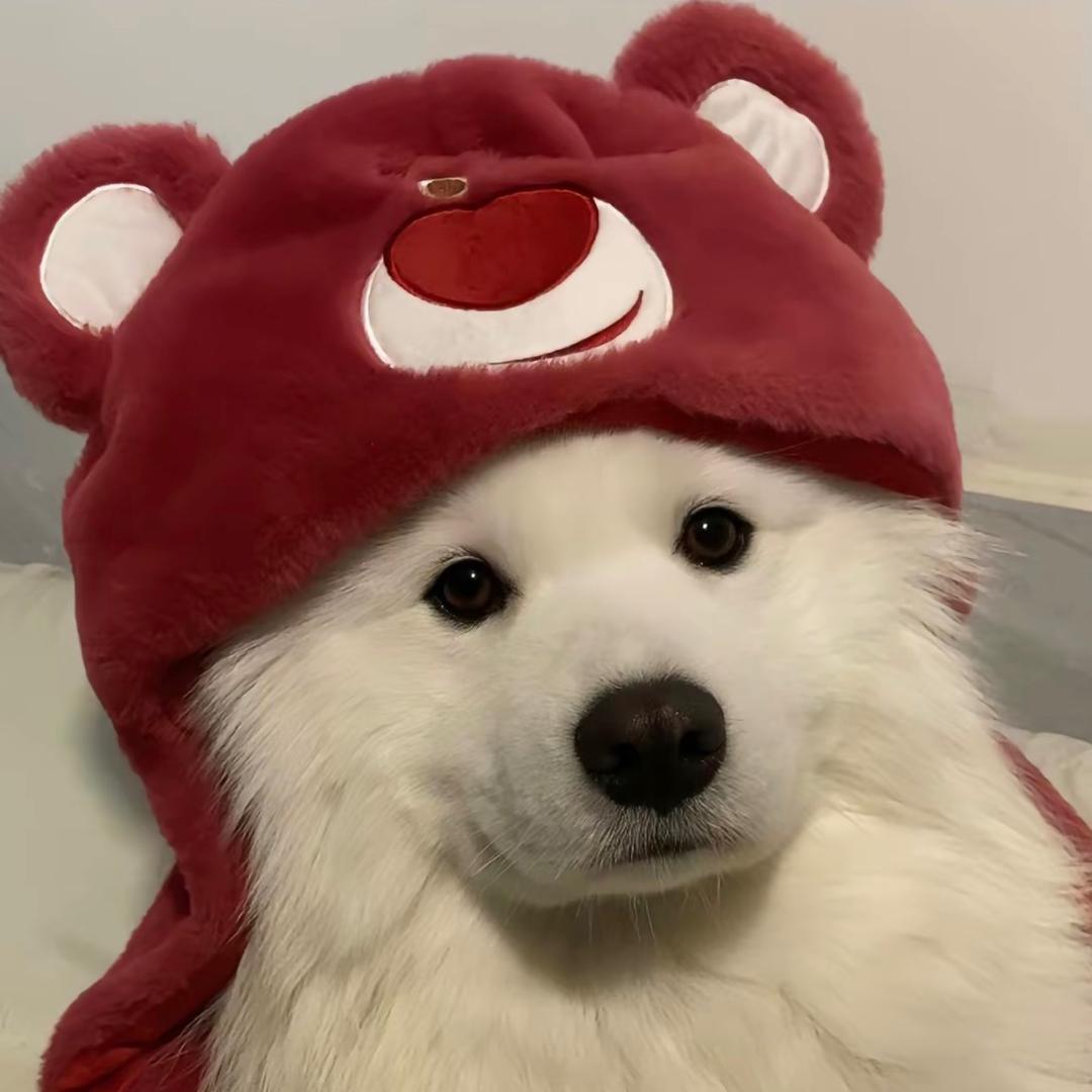 啦啦鱼