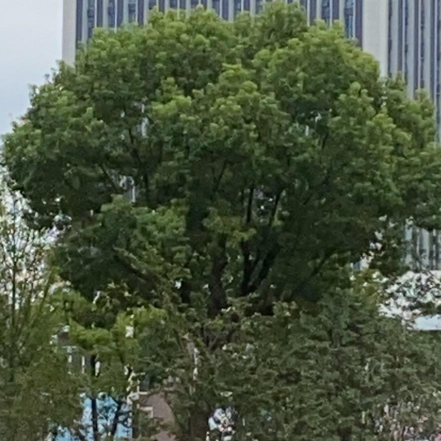 00甄选