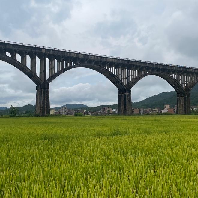 抖音广场舞团队@抖音