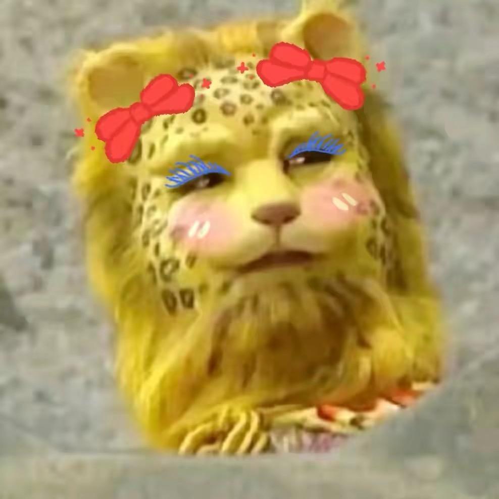 小张最会玩
