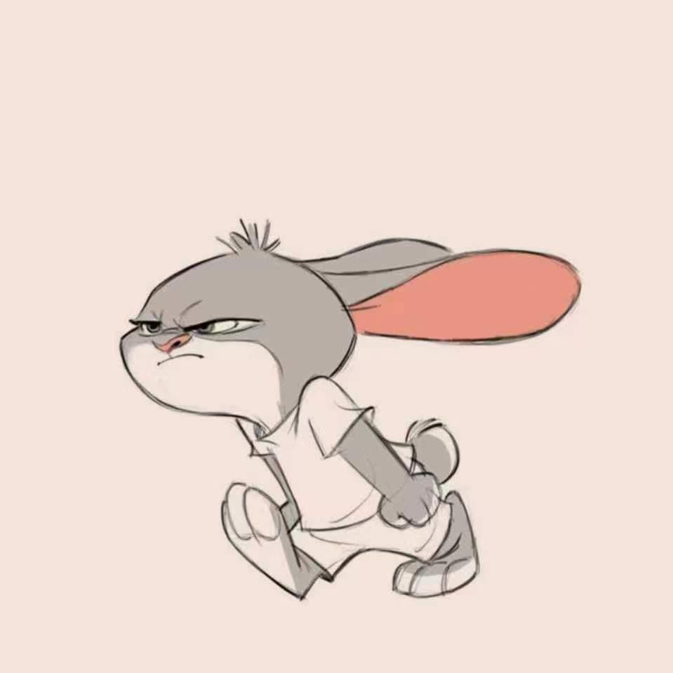愤怒的兔子