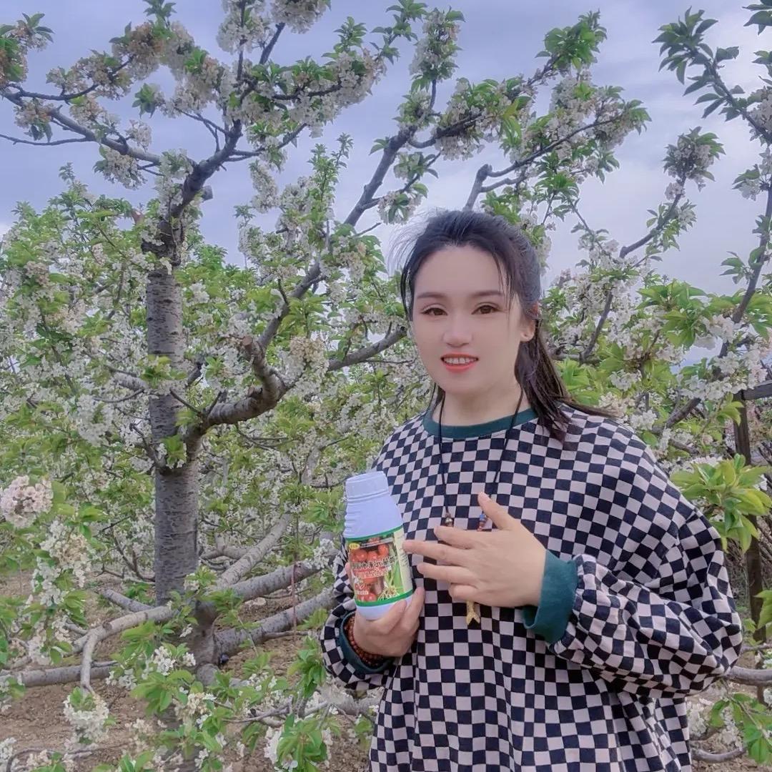 小瑜种樱桃🍒