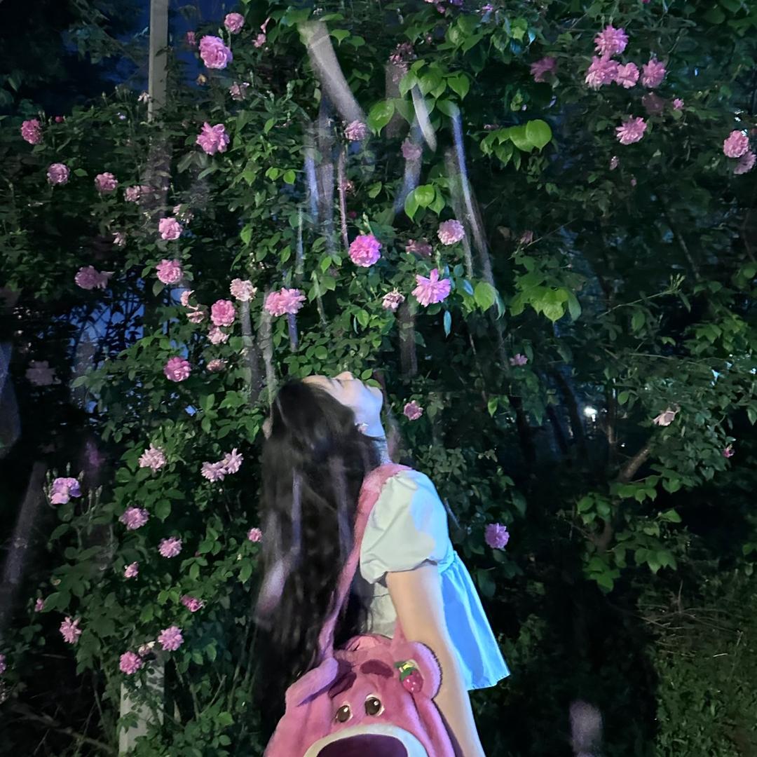 拖拉机小🐘