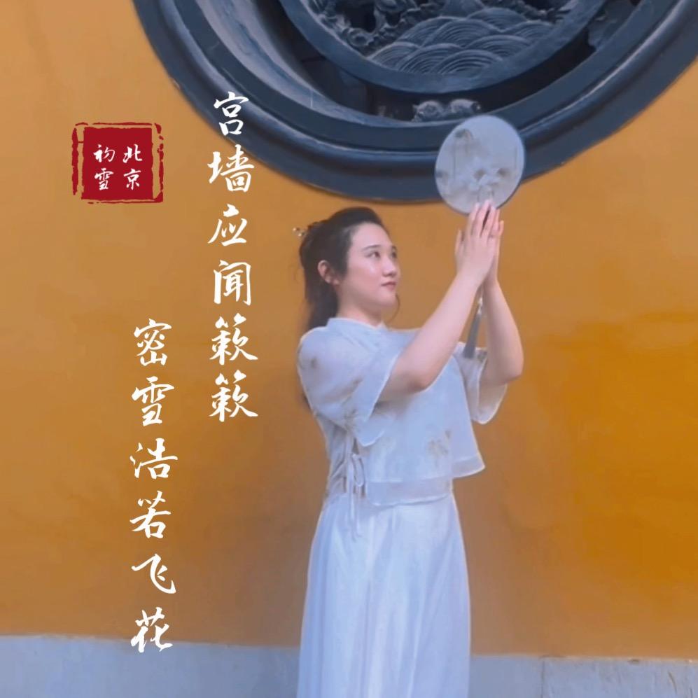 辞忧忧