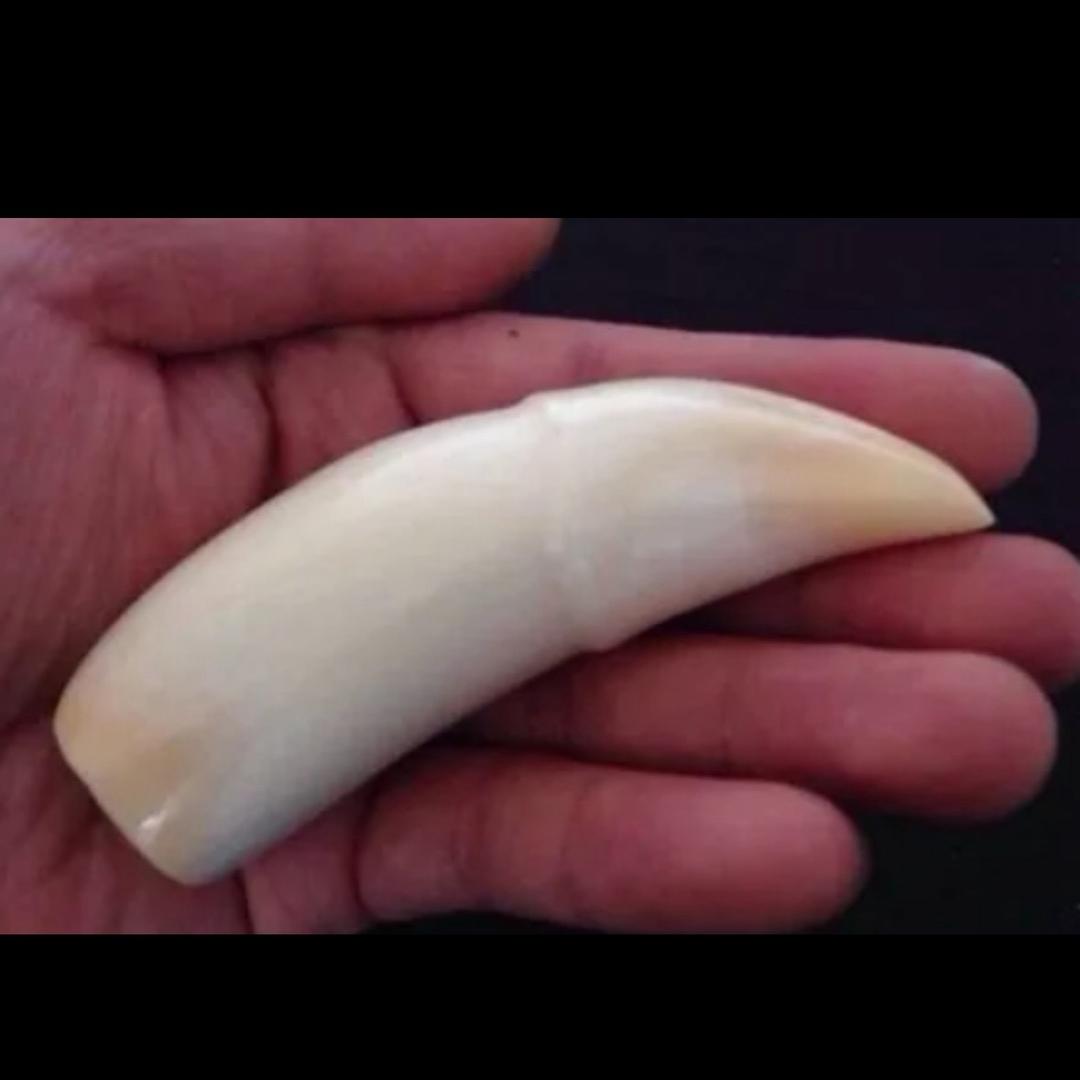 乐意玩