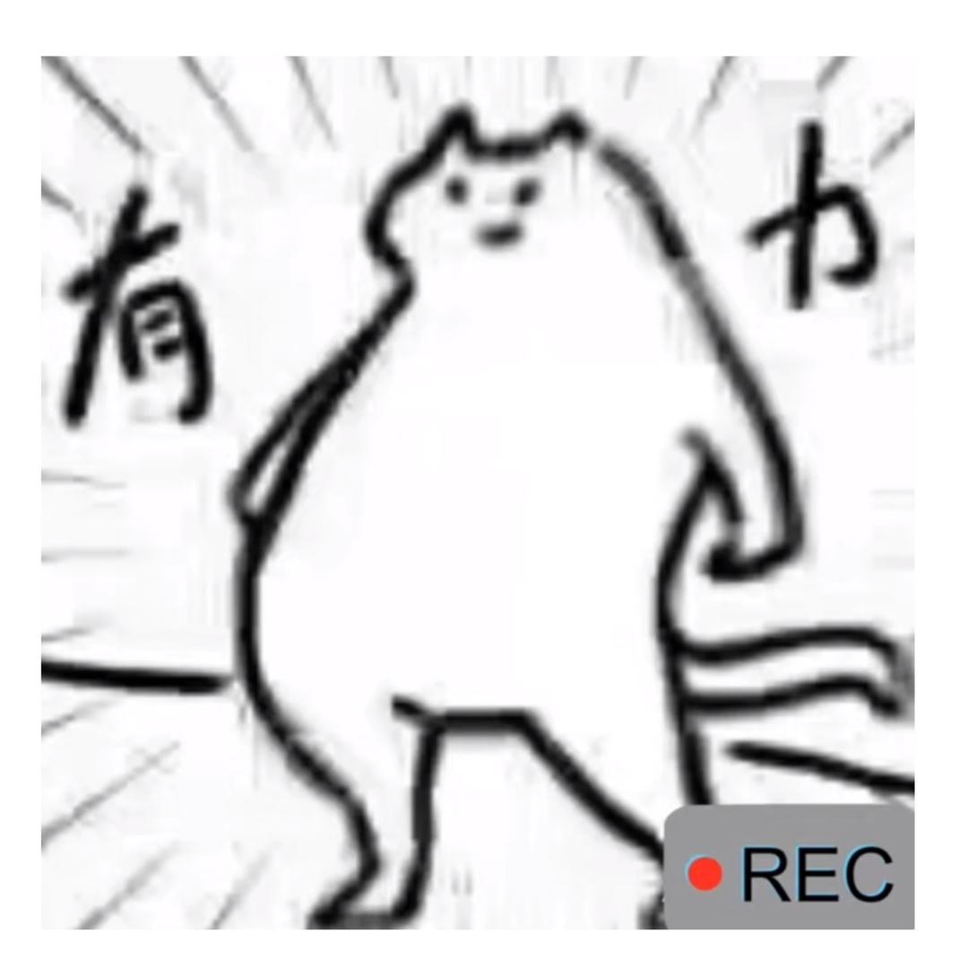 笨蛋花瓶