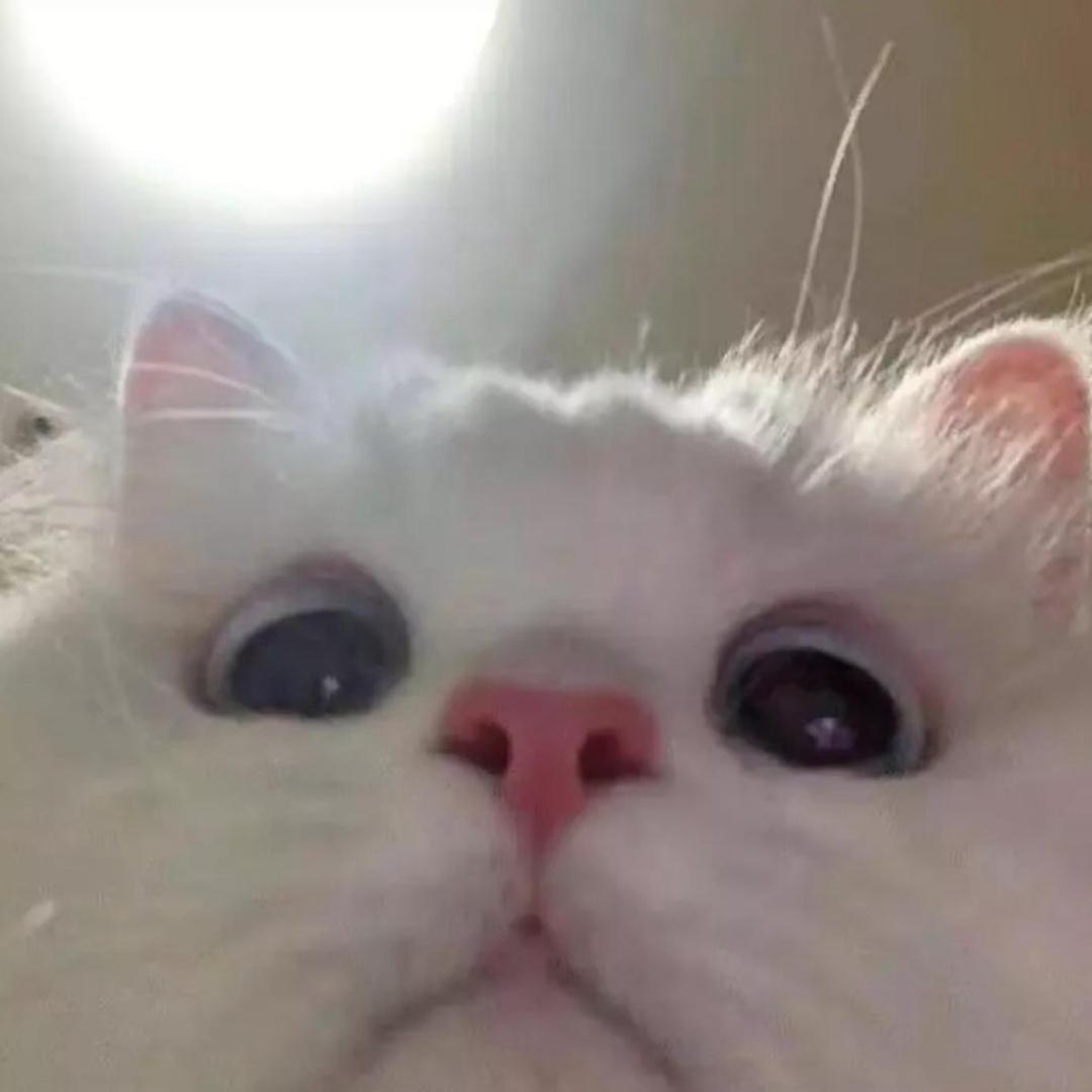 8245