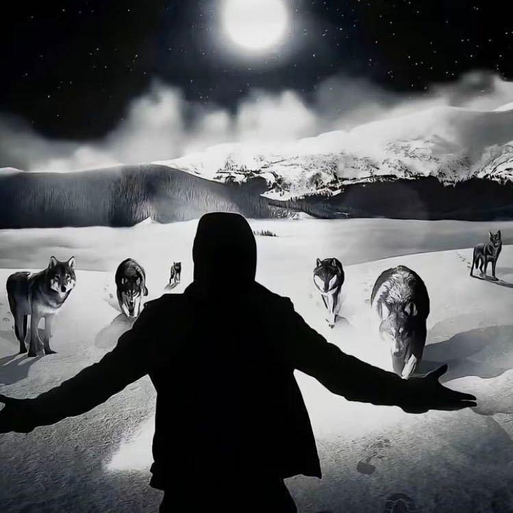 ※·Ψ крик души